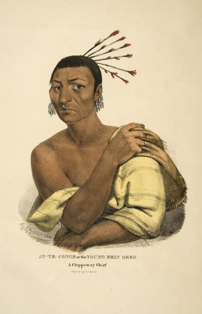 At-te-conse or the Young Reindeer by James Otto Lewis